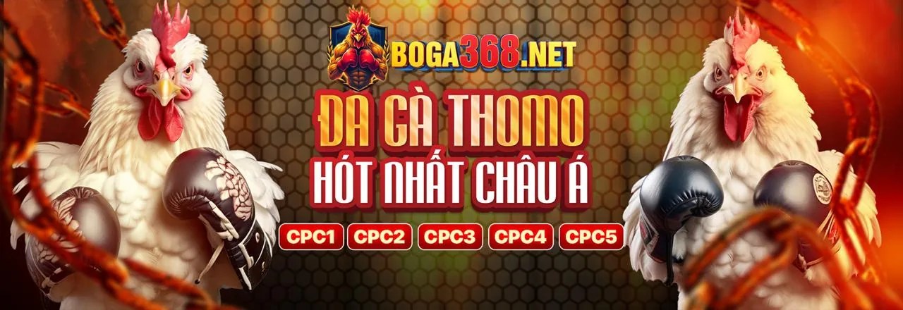 Hình ảnh chính Điều Khoản Dịch Vụ gh88 chính thức